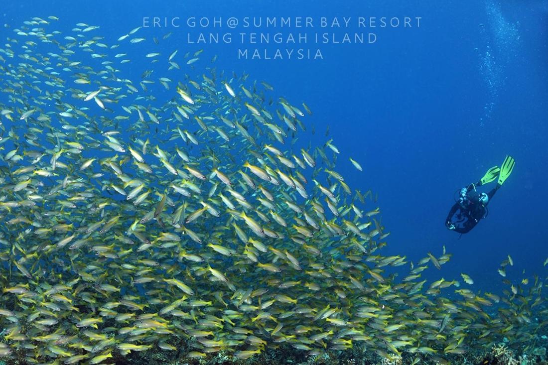 Summer Bay Resort, Lang Tengah Exterior foto