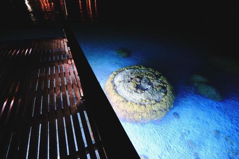 Summer Bay Resort, Lang Tengah Exterior foto